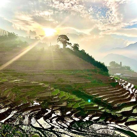 Eco Hills Homestay Sapa Exteriör bild