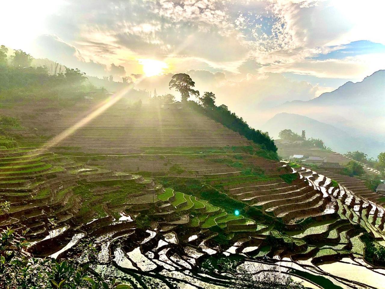 Eco Hills Homestay Sapa Exteriör bild