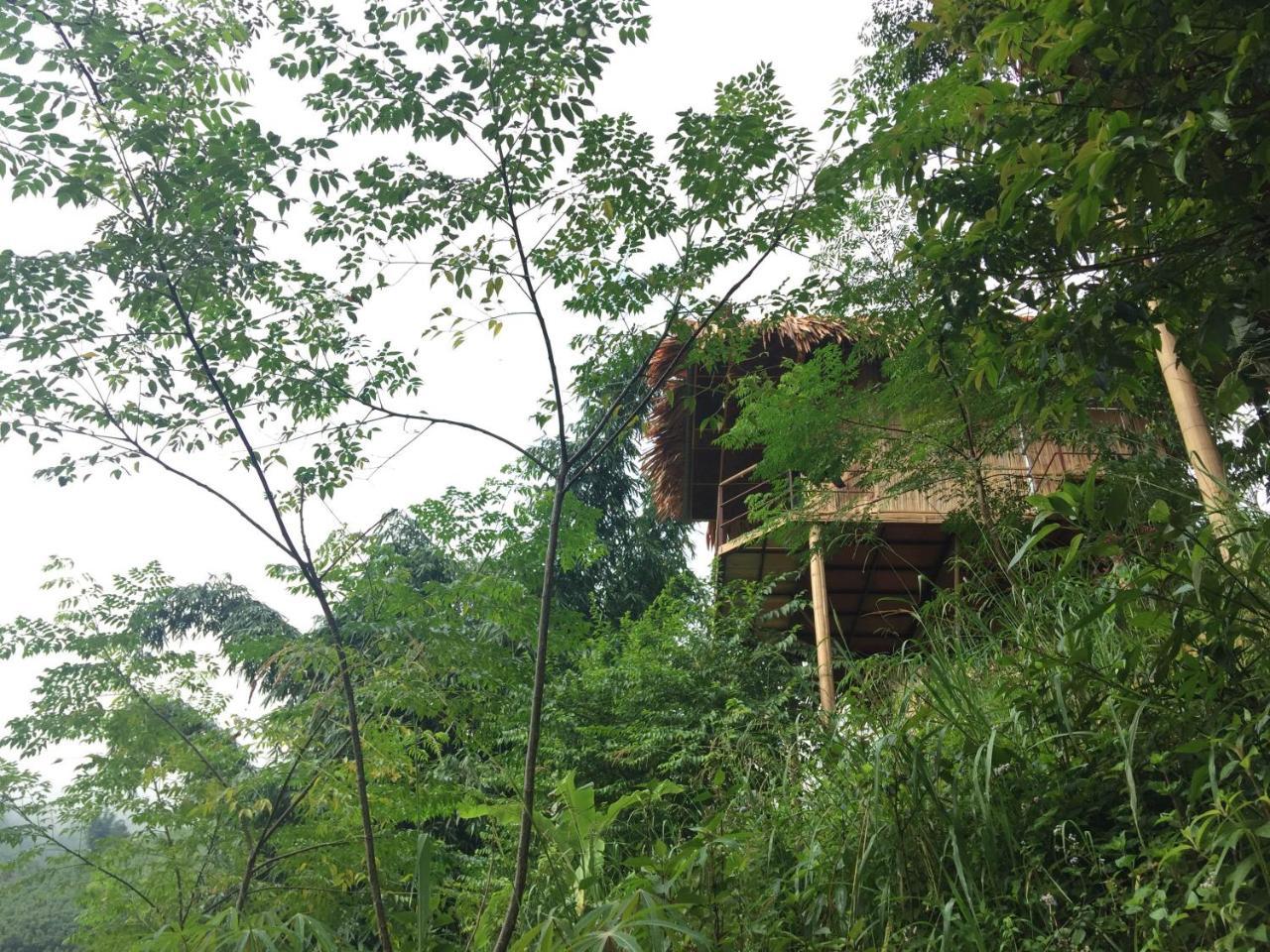 Eco Hills Homestay Sapa Exteriör bild