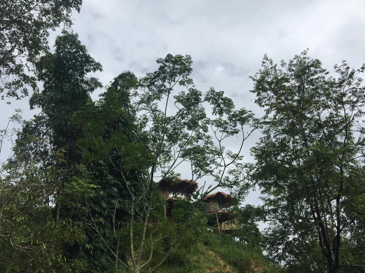 Eco Hills Homestay Sapa Exteriör bild